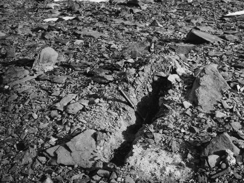 ASD-1964-site010.jpg