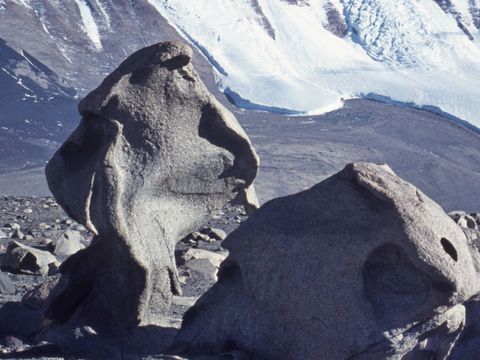1972-072-Cavernous-weathering-on-a-granite-boulder-on-a-high-bench-Taylor-Valley.jpg