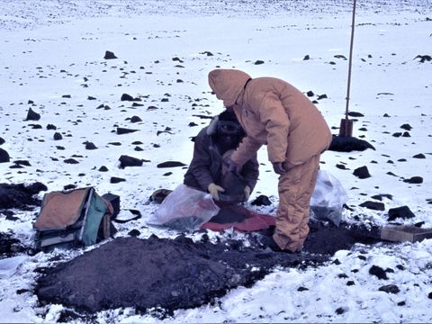 ASD-1982-site489L.jpg