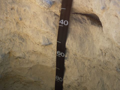 ASD-1989-site847.jpg