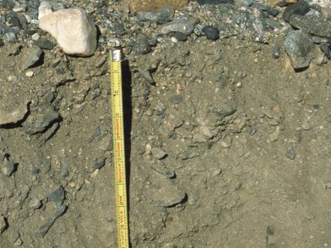 ASD-1999-site858.jpg