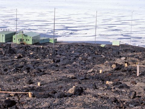 ASD-1990-site-587L.jpg