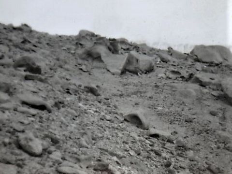 ASD-1972-site318L.jpg