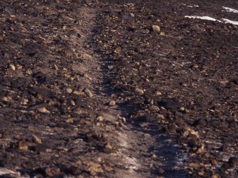 1994-203-Walking-trail-disturbance-at-Scott-Base.jpg