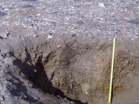 ASD-1991-site628.jpg