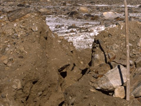ASD-1990-site583.jpg