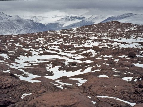 1977-303-East-end-of-the-Insel-Range-in-a-search-for-Granite-erratics.jpg