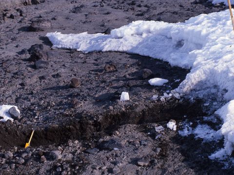 ASD-1990-site-552.jpg