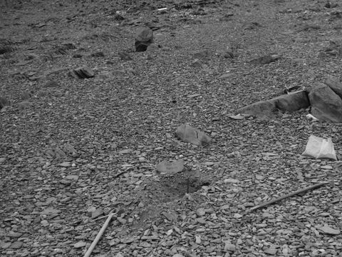 ASD-1964-site-017L.jpg