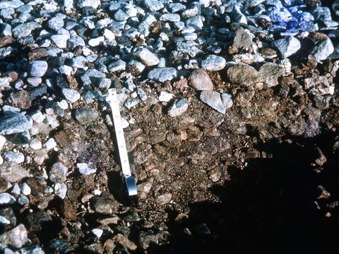 ASD-1964-site037.jpg