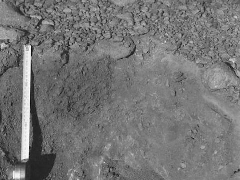 ASD-1982-site511.jpg