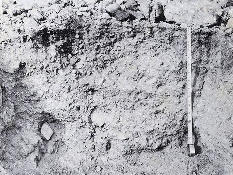 ASD-1964-site116.jpg