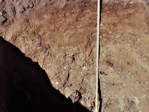 ASD-1995-site800.jpg