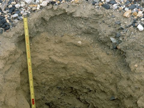 ASD-1999-site874.jpg