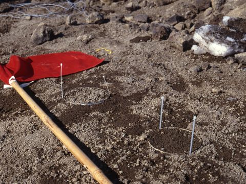 1994-014-Measuring-soil-moisture-loss-on-a-disturbed-soil-near-Scott-Base.jpg