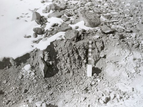 ASD-1977-site393.jpg