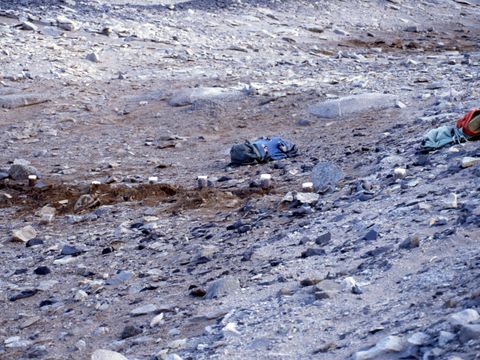 ASD-1994-site755L.jpg