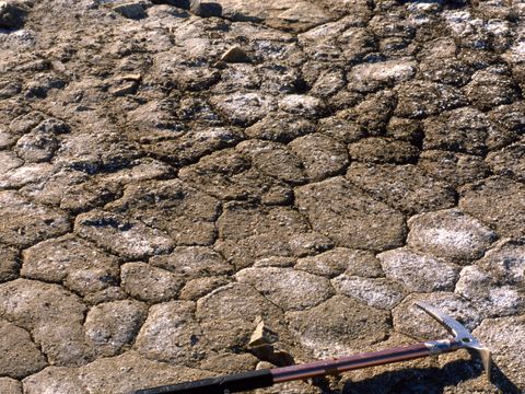 1990-133-Small-frost-polygons-at-Marble-Point.jpg