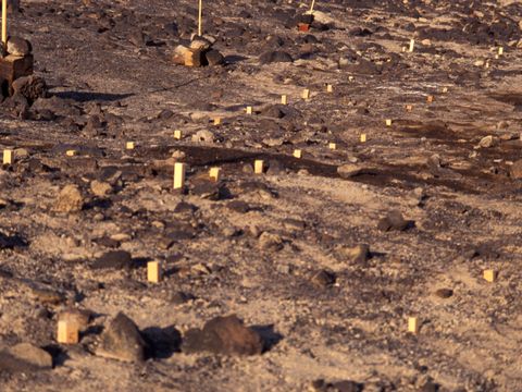 1994-204-The-permafrost-disturbance-trial-site-at-Scott-Base.jpg