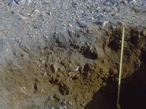 ASD-1991-site629.jpg