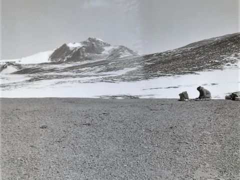 ASD-1977-site405L.jpg