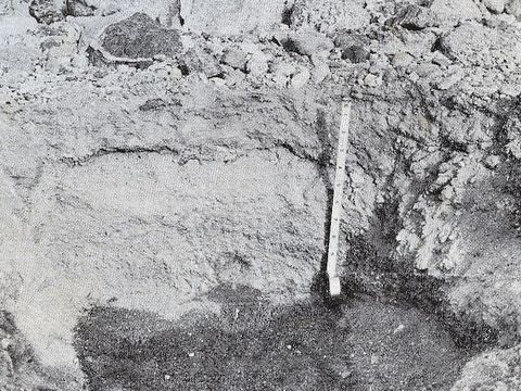 ASD-1964-site117.jpg