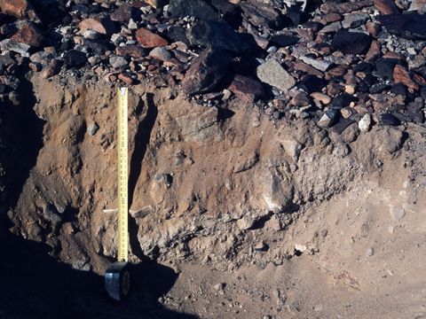 ASD-1982-site516.jpg