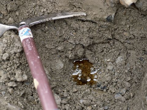 1990-100-Diesel-on-permafrost-in-soil-at-Marble-Point.jpg