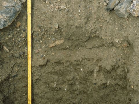 ASD-1999-site849.jpg