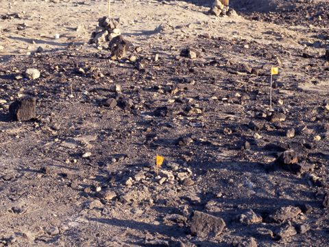 ASD-1994-site731-733.jpg