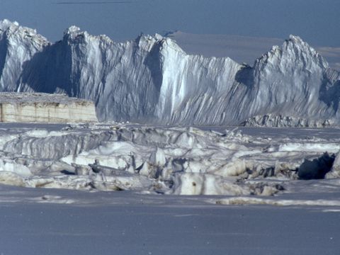 1992-160-Icebergs-near-shore-at-Marble-Point.jpg