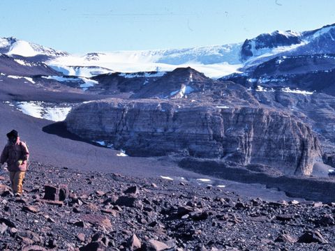 ASD-1982-site512L.jpg