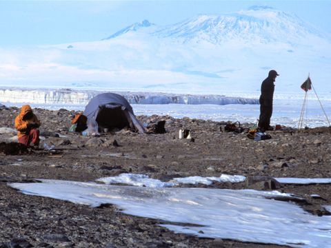 ASD-1991-site635L.jpg