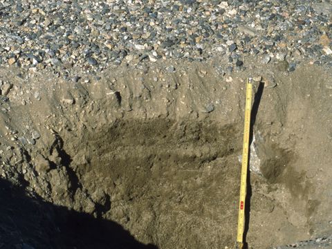 ASD-1999-site868.jpg