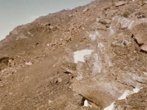 ASD-1979-site464.jpg
