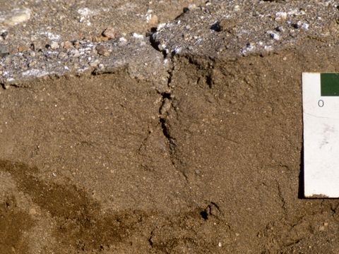 1990-136-A-patterned-ground-crack-on-a-small-polygon-surface-at-Marble-Point.jpg