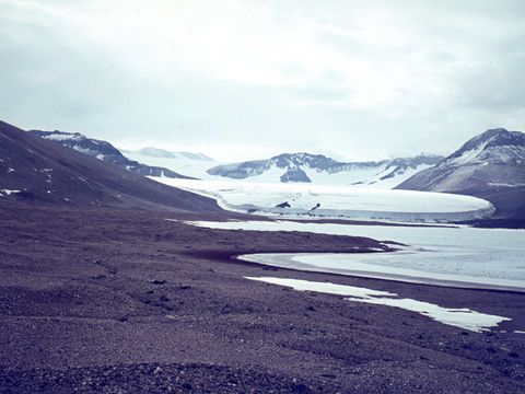 1964-367-Victoria-Glacier-Lake-Vida-Victoria-Valley.jpg