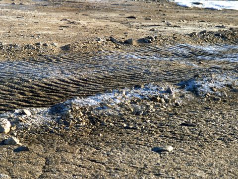 1999-060-Fresh-vehicle-tracks-at-Marble-Point.jpg