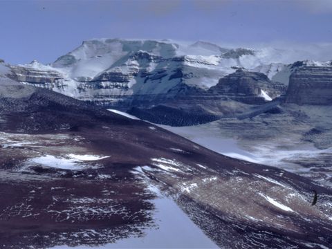 ASD-1987-site545L.jpg