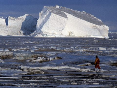 1991-097-M-Balks-at-the-sea-ice-edge-at-Marble-Point.jpg