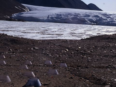 1994-073-Nematode-experimental-site-at-Lake-Hoare-Taylor-Valley.jpg