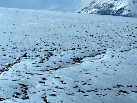 1998-084-Debris-on-the-upper-Taylor-Glacier-surface.jpg