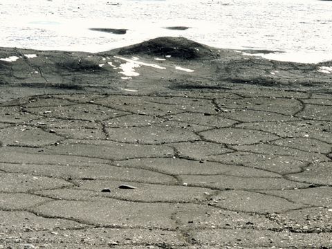 1999-DEC-104-patterned-ground-formation-on-tills-near-Lake-Hoare.jpg