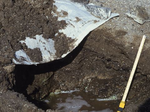 ASD-1992-site687.jpg
