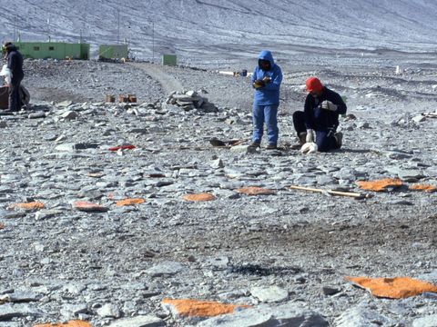 1992-041-Fuel-contaminated-helo-landing-site-at-Vanda-Station-G-Claridge-J-Deely-D-Sheppard.jpg