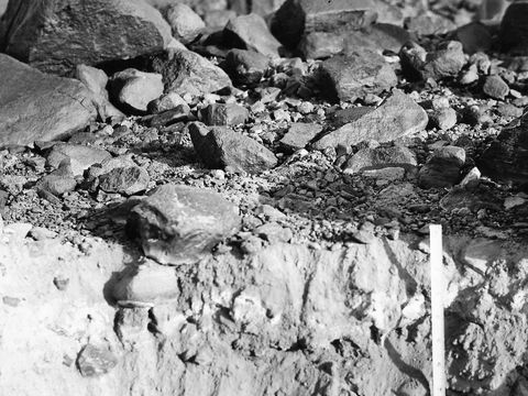 ASD-1964-site096.jpg