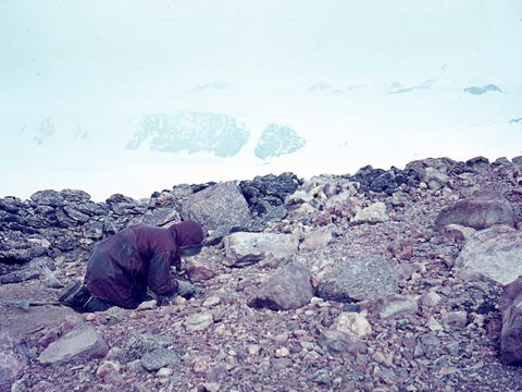 ASD-1964-site118.jpg