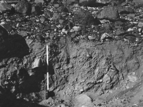 ASD-1972-site342.jpg