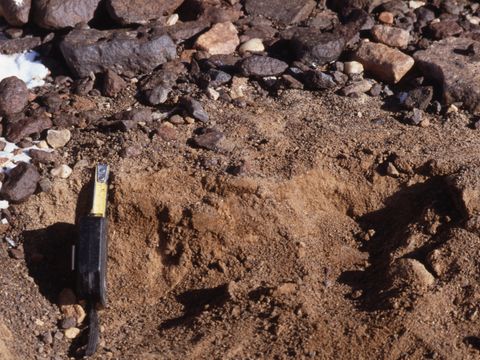 ASD-1994-site764.jpg
