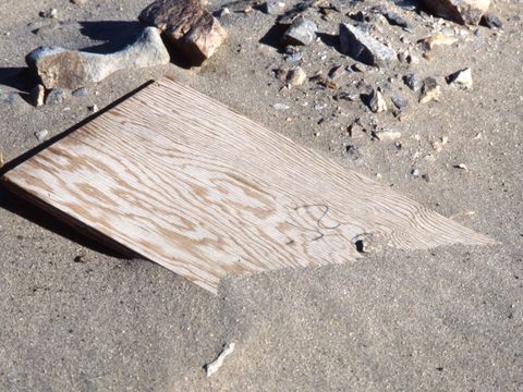 1990-089-Debris-at-Marble-Point.jpg